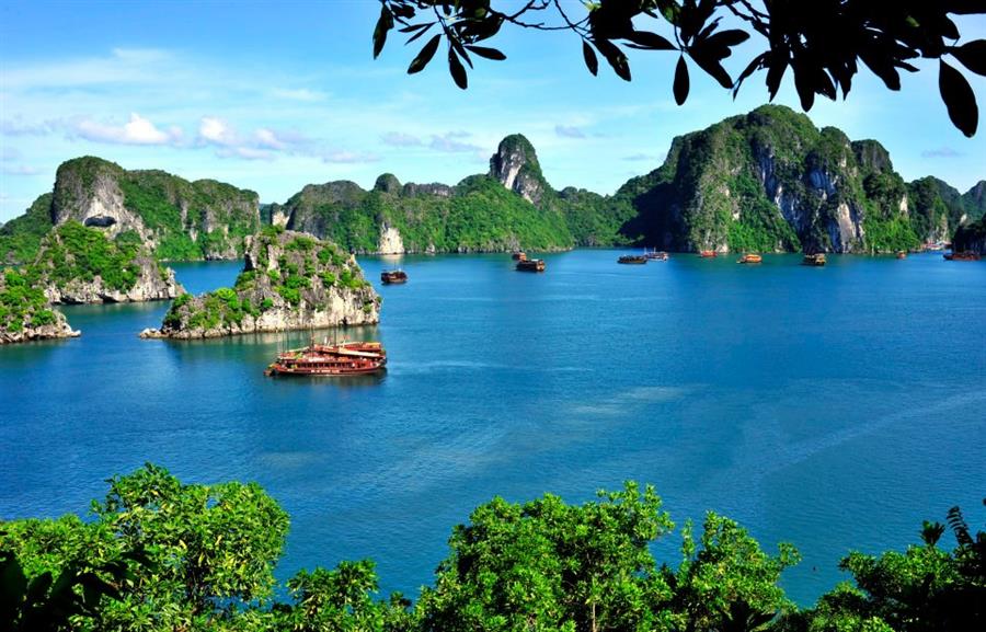 Hạ Long